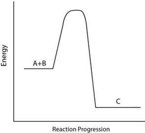 Consider the reaction pathway graph below. which statement describes how thi