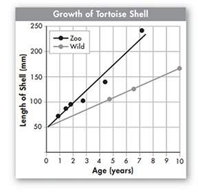 What type of graph is used here to represent the growth of tortoise shells?  a. circle
