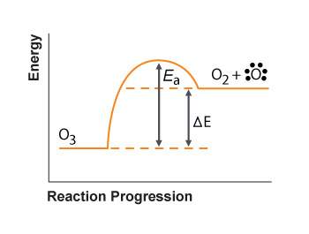 Consider the reaction pathway graph below. which conclusion can be accurately draw