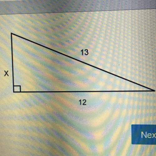 What is the value of x?  answer asap