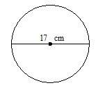 Find the circumference of the circle use 3.14 for r round to the nearest unit. 53 cm