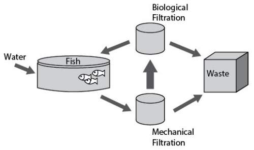 Various methods of aquaculture can be used to grow species of marine fish. consider the figure below