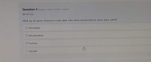 What are the green structures inside plant cells where photosynthesis takes place called