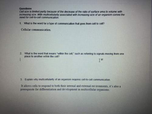 Ignore questions 1 and 3 i just need with questions 2 plz