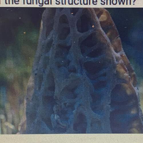 11uil what is the function of the fungal structure shown?  o o a. photosynth