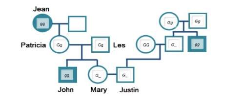 What is the probability that mary and justin will have an affected child?