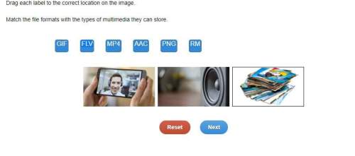 Match the file formats with the types of multimedia they can store. gif flv mp4 aa