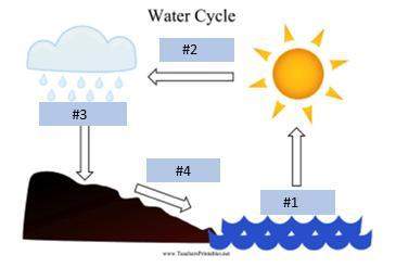 Correctly label the parts of the water cycle enter our answer in the space provided and include the