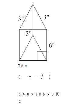What is the total area for this prism?