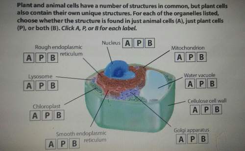 Identify the following structures as being found only in the an animal (a), only in a plant(p) or fo