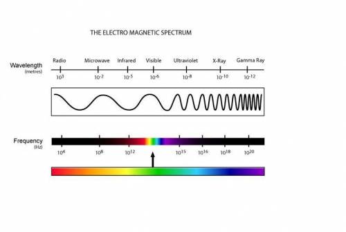 What do radio waves and microwaves have in common?  both are at the side of the spectrum that has th