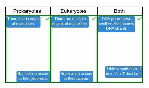 Determine whether the characteristics describe dna replication in prokaryotes only, eukaryotes only,