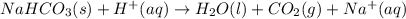 NaHCO_3(s)+H^+(aq)\rightarrow H_2O(l)+CO_2(g)+Na^+(aq)