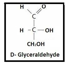 Acarbohydrate with an aldehyde functional group is called:  a. disaccharide b. aldose c. hexose d. k