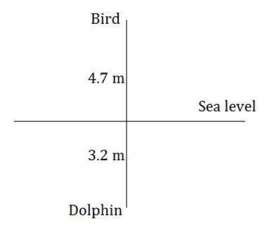 Eva sees a dolphin 3.2 meters below sea level and a bird 47/10 meters above sea level. which of the