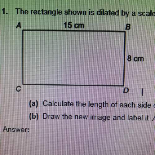 1. the rectangle shown is dilated by a scale factor of 2.  (a) calculate the leng