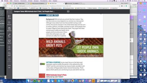 Ineed to write an argument essay about: should people keep exotic animals as pets?  can you