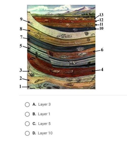 Fossils of a species of beaver are found in layer 6. which layer is most likely to have organisms th