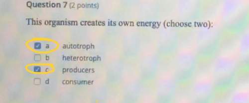 Need on checking my answers! the ones circled in yellow are the ones that i believe the answers ar