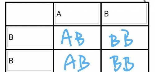 Me jones has blood type b and mrs jones has blood type ab. what is the probability that they will ha