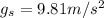 g_s = 9.81 m/s^2