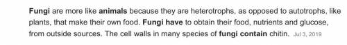 What do fungi have in common with animals?   a. they are autotrophs.  b. they are heterotrophs.  c.
