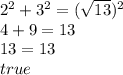 2^2+3^2=(\sqrt{13})^2 \\&#10;4+9=13 \\&#10;13=13 \\ true