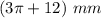 (3 \pi+12)\ mm