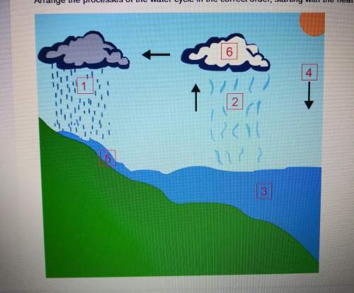 Arrange the process of the water cycle in correct order, starting with the heat from the sun.&lt;