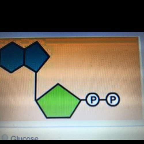 What molecule is represented by the molecular model shown below?