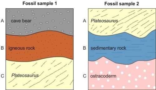 Which statements about the two fossil images are correct? 1. cave bears are ancestors of plateosaur