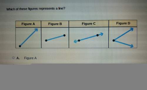 Which of these figures represents a line?
