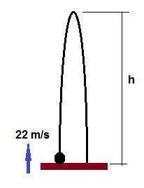 Abaseball is hit nearly straight up into the air with a speed of 22 m/s. (a) how high does it go?  (