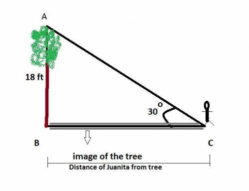 Juanita measures the angle of elevation from the ground to the top of an18-foot-tall tree as 30°. th