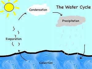 Which is the correct order of processes that occur for water to move from a lake to a cloud and then