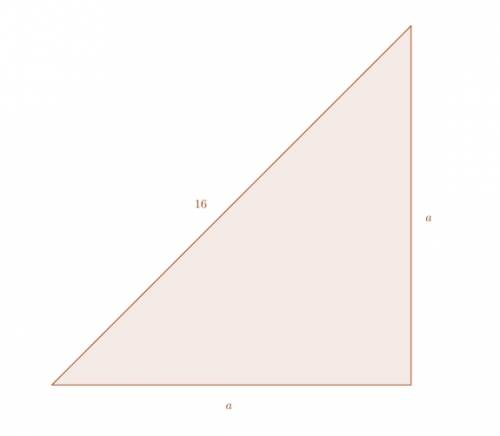 Abrace for a shelf has the shape of a right triangle. its hypotenuse is 16 inches long and the two l