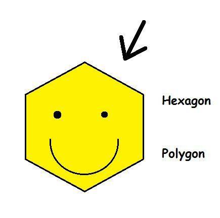 What does a polygon look like?  a polygon has 6 sides