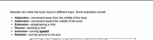 Which of the following muscle actions means to turn upward?  a. adduction  b. abduction  c. extensio