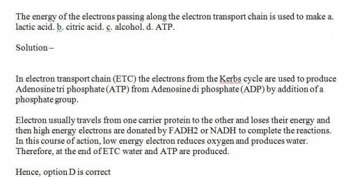 The energy of the electrons passing along the electron transport chain is directly used