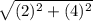 \sqrt{(2)^{2}+(4)^{2}}