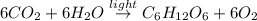 6 CO_{2} + 6H_{2}O \overset{light}{\rightarrow} C_{6}H_{12}O_{6} + 6O_{2}