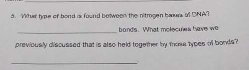 What type of bond is found between the nitrogen bases of dna