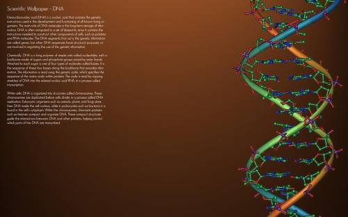 What are the three main components of a dna molecule?