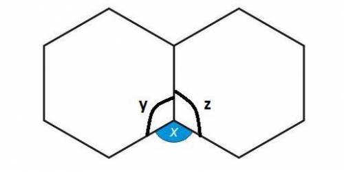 Two identical hexagons are joined together as shown on the diagram. work out angle size of xx= 120