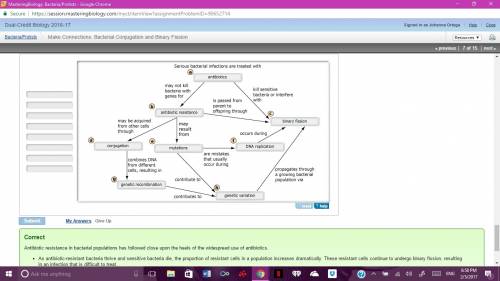 Drag the labels to their appropriate locations on the concept map below to explore the links between