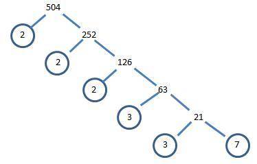 How do you make a factor tree for 504