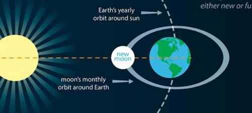 How are the earth, the sun, and the moon arranged during spring tide?