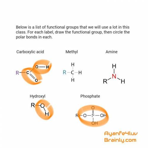 Below is a list of functional groups that we will use a lot in this class. for each label, draw the