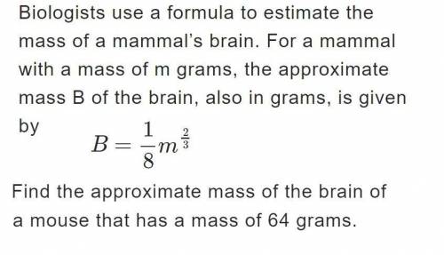 Biologists use a formula to estimate the mass of a mammal's brain. for a mammal with a mass of m gra