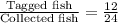 \frac{\text{Tagged fish}}{\text{Collected fish}}=\frac{12}{24}
